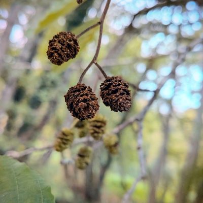 PXL_20251028_163837165.MACRO_FOCUS~3